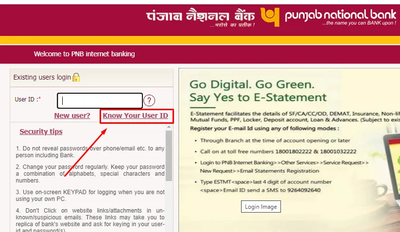 user id kya hoti hai punjab national bank