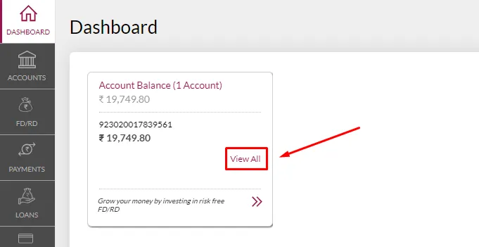 How To Download Axis Bank Statement