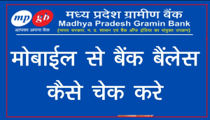 Madhya Pradesh Gramin Bank Balance Check